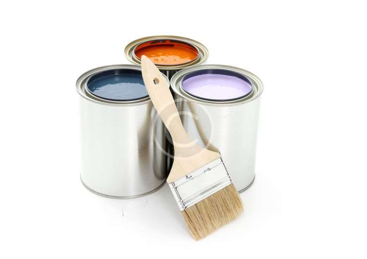paintologists Paint services